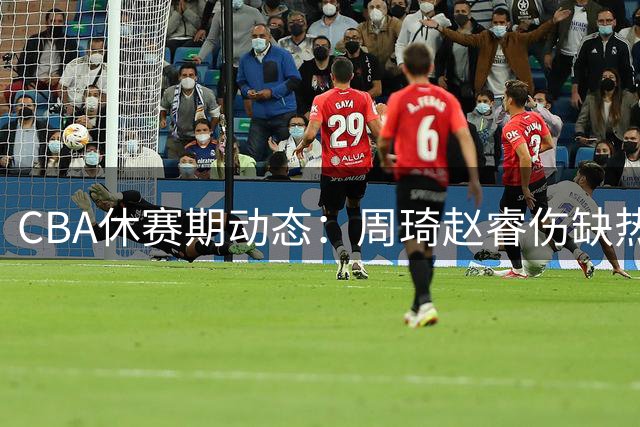 CBA休赛期动态：周琦赵睿伤缺热身赛 中国男篮排名下滑